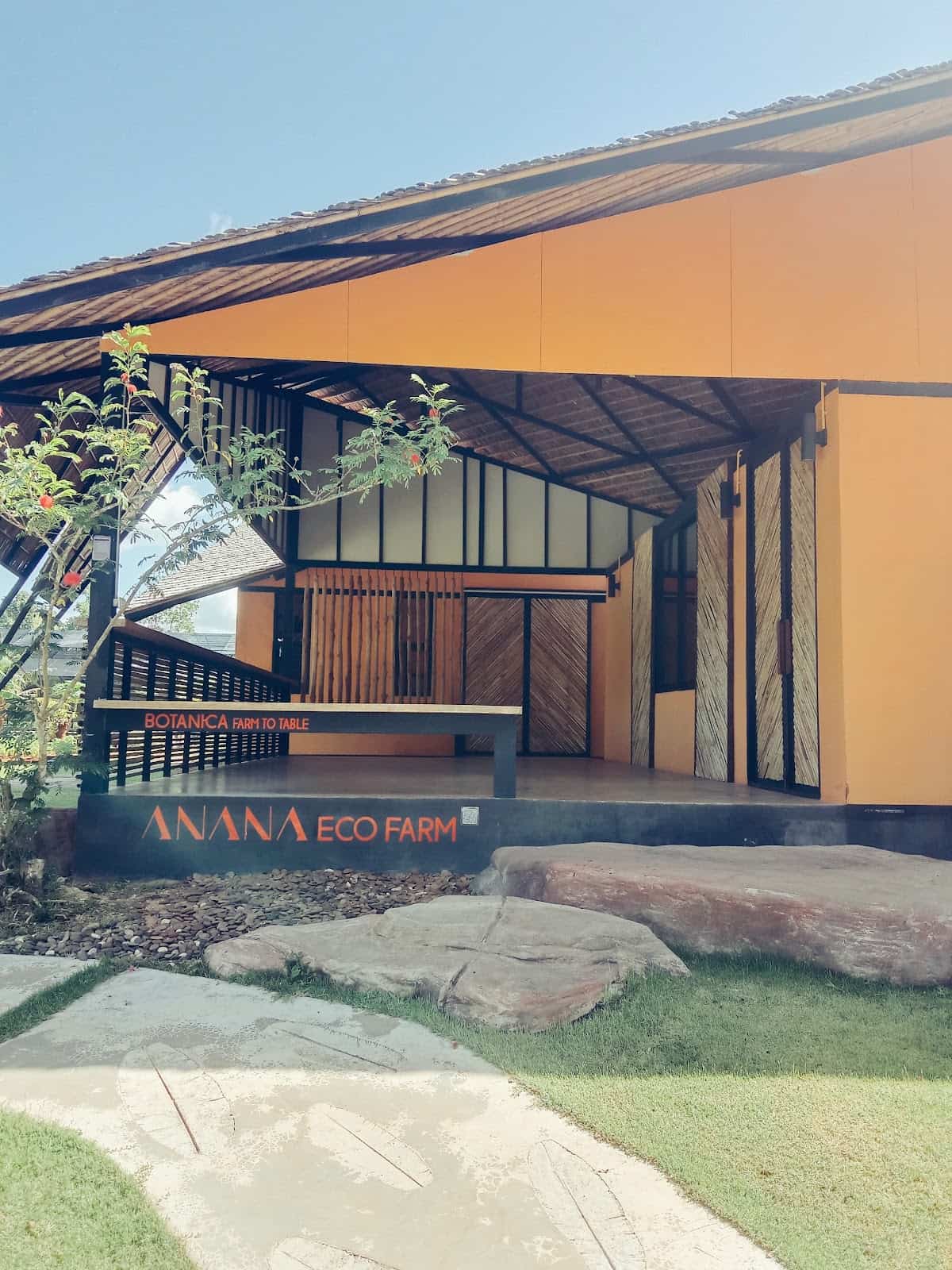 Ashtanga Vinyasa Yoga Krabi By Kru.sa