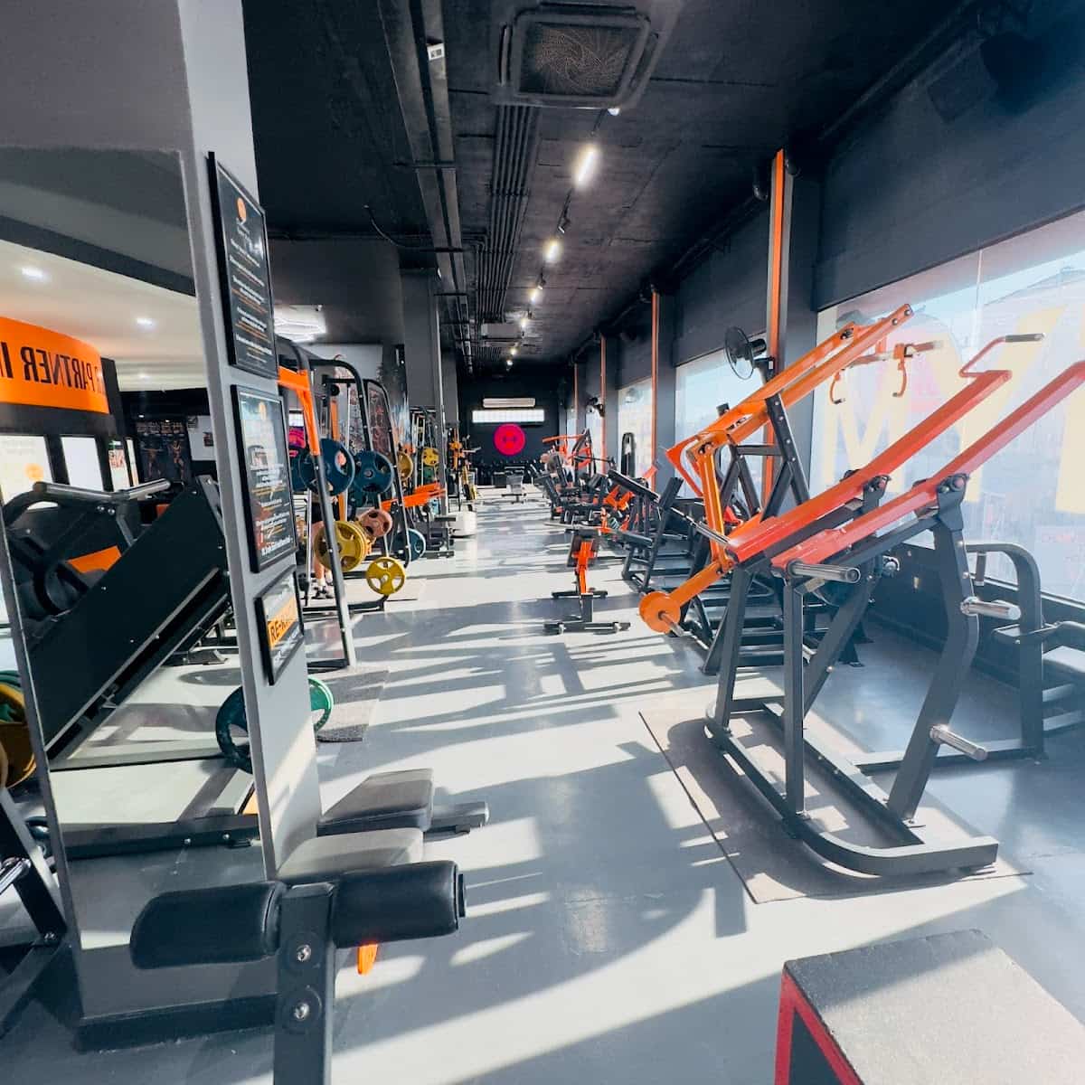 Elite Gym and Fitness Exclusive