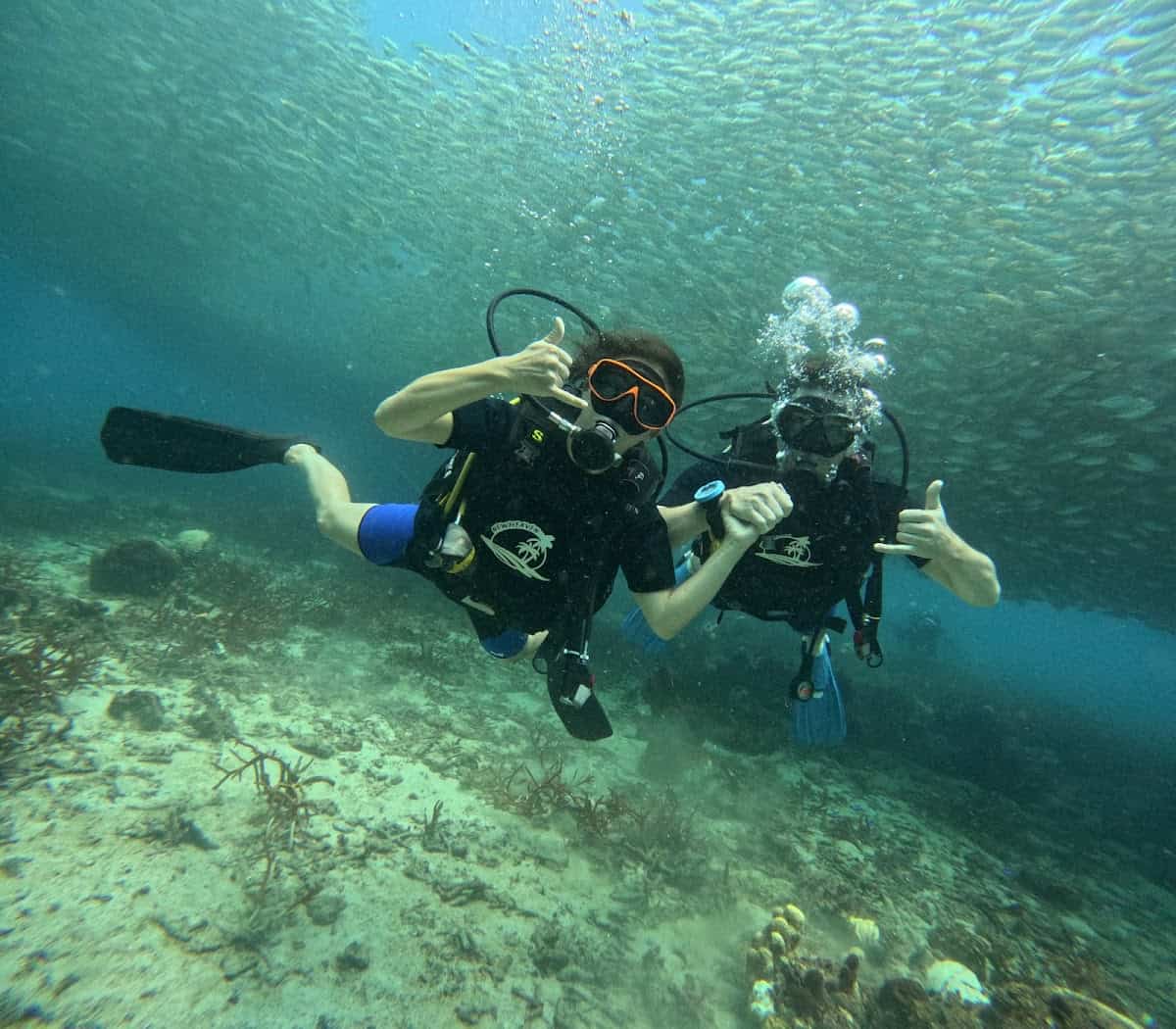 New Heaven Dive School and Resort