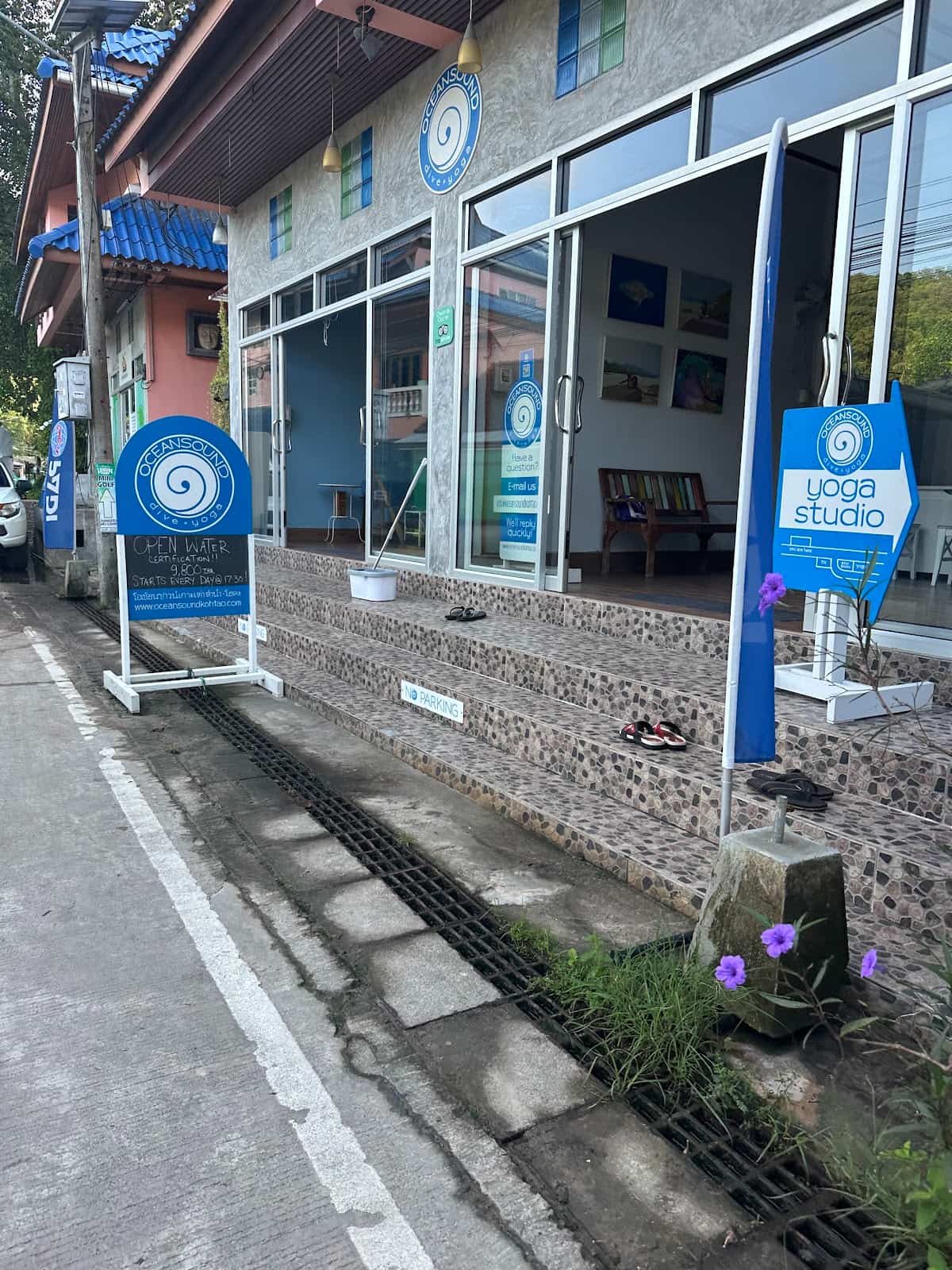 Ocean Sound Dive + Yoga