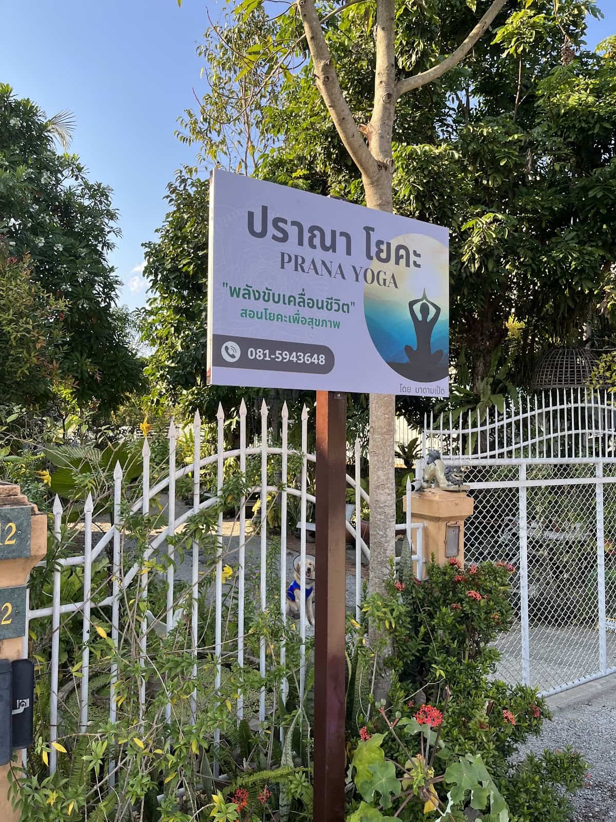 ปราณา โยคะ