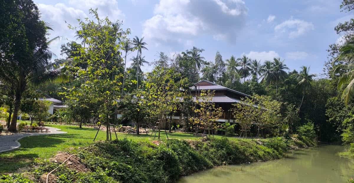 The Yoga House Koh Phangan