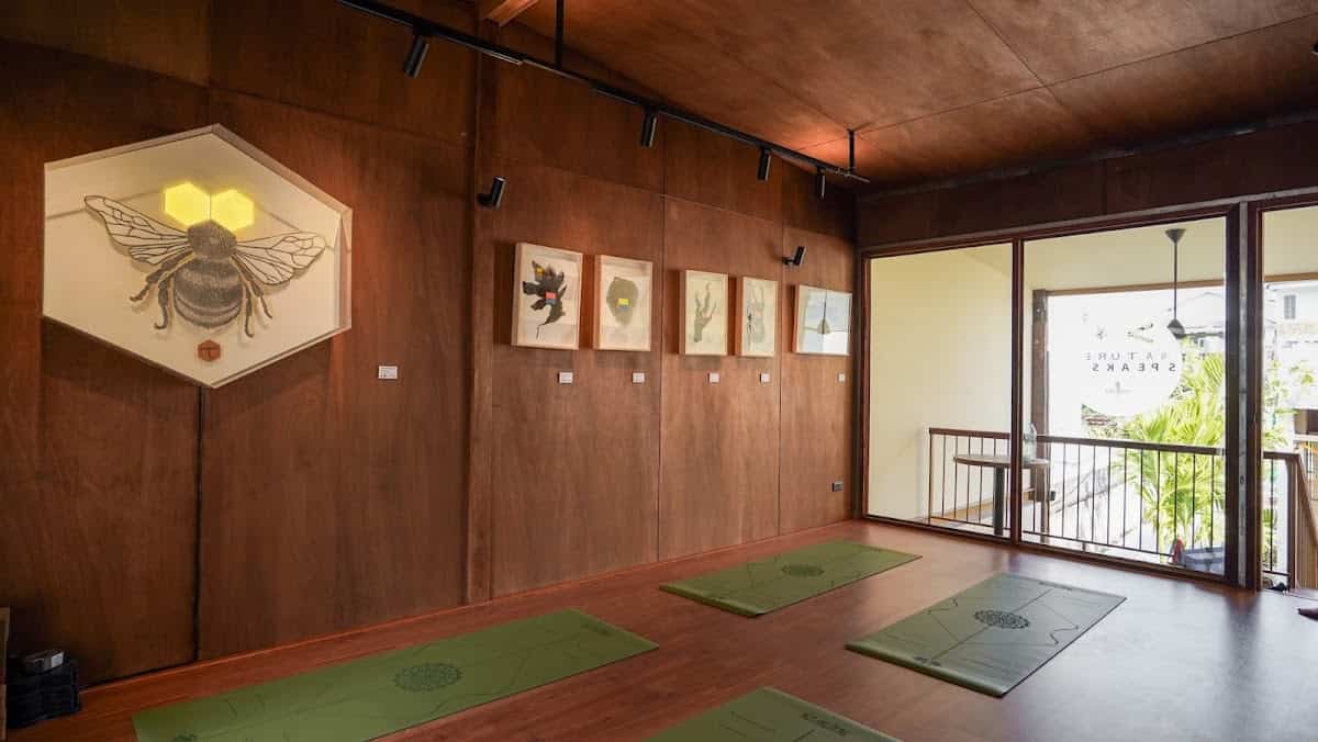 Yoga With Ping 요가 Chiangmai Healing Space